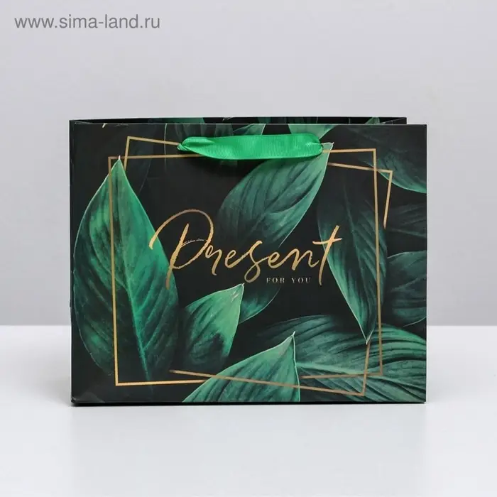 Пакет подарочный ламинированный, упаковка, Present for you, MS 23&times;18&times;10 см