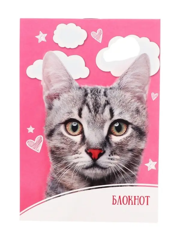 Блокнот А6, 24 листа на скрепке &laquo;Домашние животные&raquo;, обложка мелованный картон, МИКС