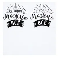 Салфетки бумажные однослойные &laquo;Сегодня можно всё&raquo;, 24&times;24 см, набор 100 шт.