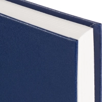 Ежедневник датированный 2026 Выбор есть, А5, 160л, бумвинил, синий