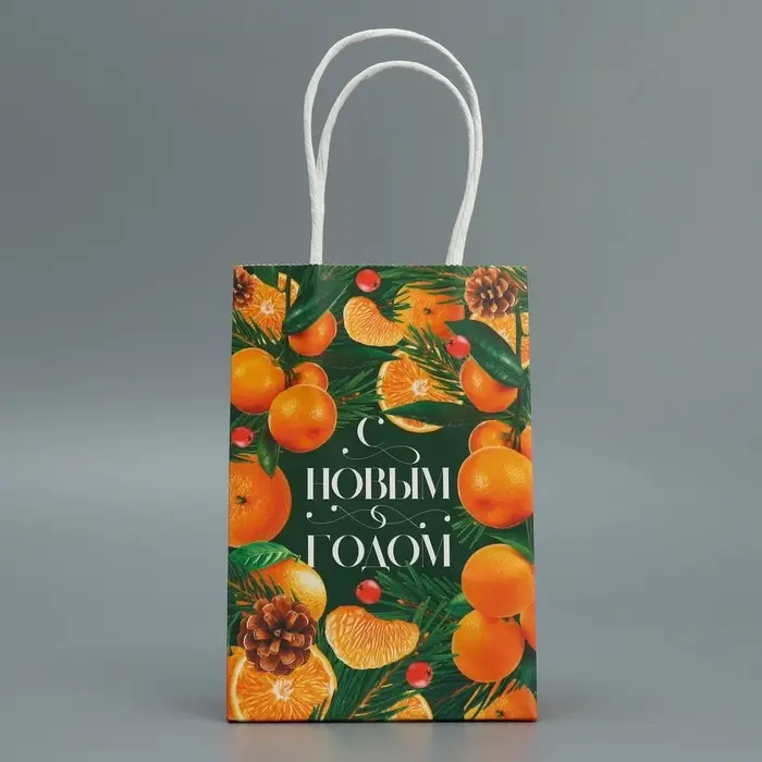 Пакет подарочный новогодний крафтовый «Мандариновое настроение», 15 х 10 х 6 см Пакет подарочный новогодний крафтовый «Мандариновое настроение», 15 х 10 х 6 см