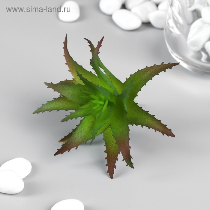 Искусственный суккулент для создания флорариума  Искусственный суккулент для создания флорариума "Алоэ древовидное" 6,5х7х7 см