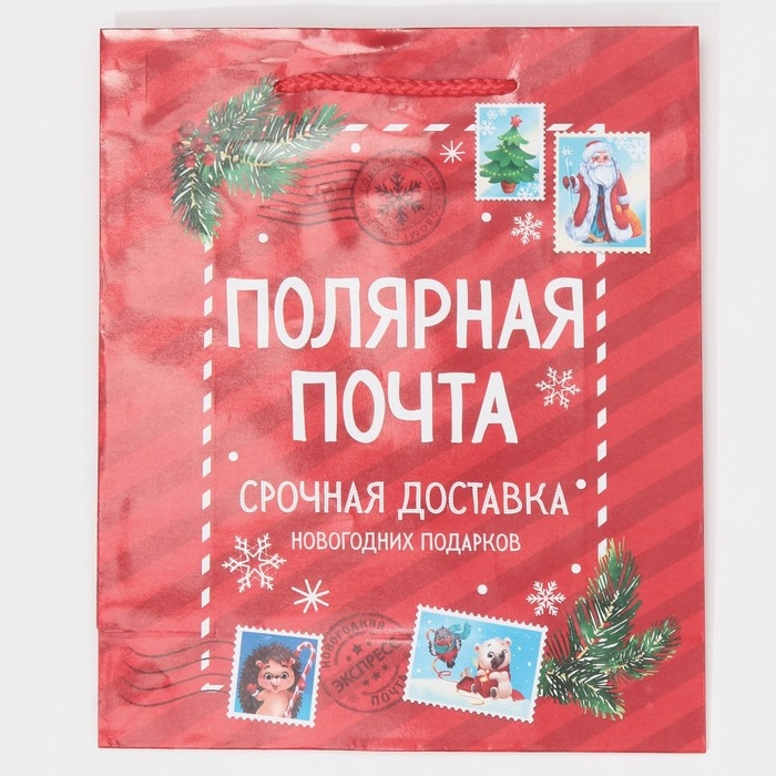 Пакет подарочный новогодний ламинированный «Полярная почта», ML 21 х 25 х 8 см Пакет подарочный новогодний ламинированный «Полярная почта», ML 21 х 25 х 8 см