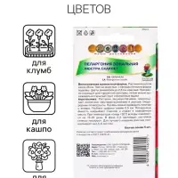 Семена цветов Пеларгония зональная &laquo;Люстра Скарлет&raquo;, 5 шт., &laquo;ПОИСК&raquo;