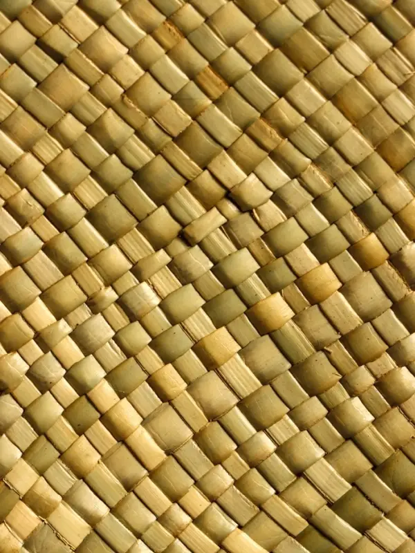 Сумка плетёная на молнии из пандана 30х10х35 см, светло-коричневый Сумка плетёная на молнии из пандана 30х10х35 см, светло-коричневый