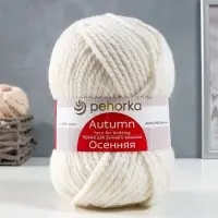 Пряжа для вязания спицами, крючком &laquo;Пехорский текстиль. Осенняя&raquo;, 25% шерсть, 75% ПАН, 150 м/200 г, (01 белый)