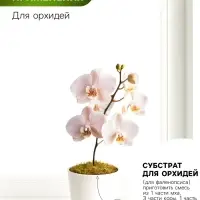 Мох сфагнум &laquo;Рецепты Дедушки Никиты&raquo; 1.5 л