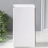 Сувенир полистоун "Малышка-принцесса, маленькая балерина" 6,5х5,5х15 см