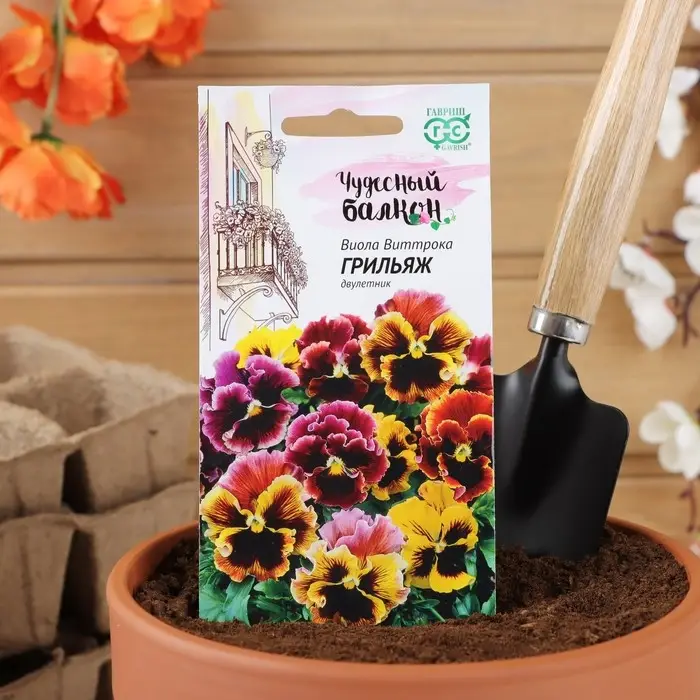 Семена цветов Виола "Грильяж", ц/п,  Дв, виттрока, 0,05 г