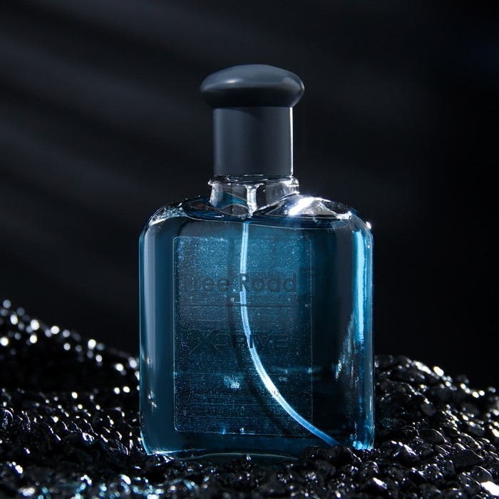 Туалетная вода мужская X-Drive Free Road, 100 мл (по мотивам Bleu de Chanel) Туалетная вода мужская X-Drive Free Road, 100 мл (по мотивам Bleu de Chanel)