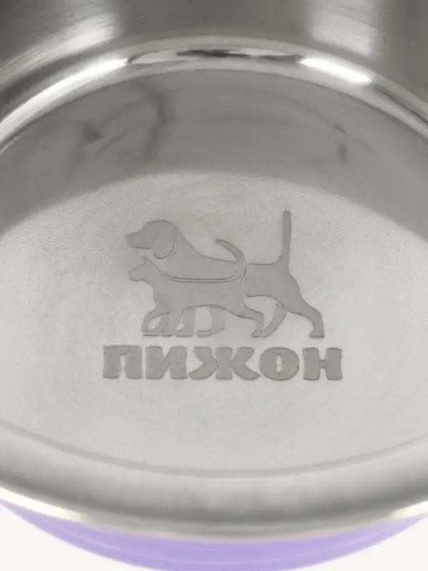 Набор из 2 цветных мисок на подставке, 2&times;350 мл