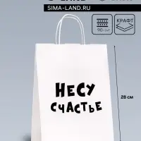 Пакет подарочный «Несу счастье », 24×14×28 см