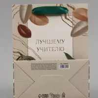 Пакет подарочный ламинированный, упаковка, &laquo;Лучшему учителю&raquo;, MS 18&times;23&times;10 см