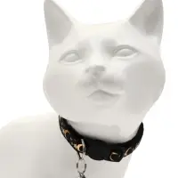 Набор ошейников для кошек &laquo;Ночь&raquo;, 19-32&times;1 см, 2 шт.