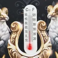 Магнит новогодний, с термометром &laquo;С Новым годом!&raquo;, 9&times;9 см