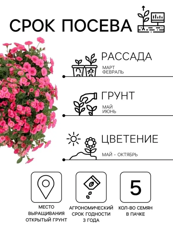 Семена цветов Петуния &laquo;Минибелло&raquo; F1, сакура, многоцветковая, 5 шт., Farao, &laquo;АЭЛИТА&raquo;