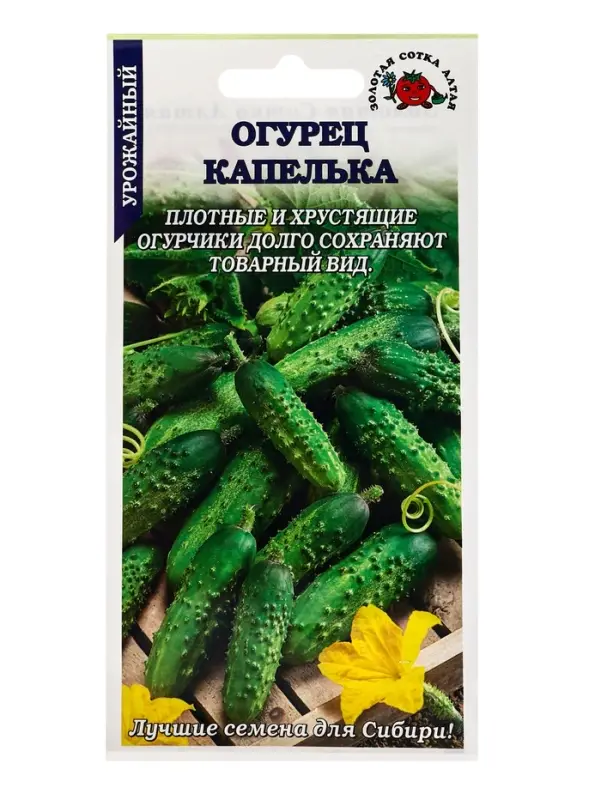 Семена Тыква Капелька (мини-овощи) /Сотка/ 0,5 г / 0,8-1,3, кг /*600 Семена Тыква Капелька (мини-овощи) /Сотка/ 0,5 г / 0,8-1,3, кг /*600