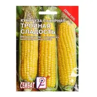 Семена Кукуруза сахарная &laquo;Тройная Сладость&raquo;, XXXL, &laquo;Сембат&raquo;, 25 г