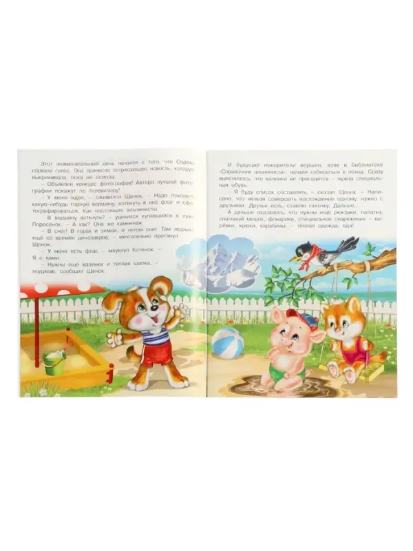 Книга Книга "Покорители вершин", 16 стр, Гурина И. В.