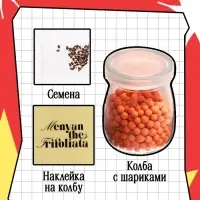 Набор для опытов &laquo;Выращиваем травку&raquo; своими руками, красный