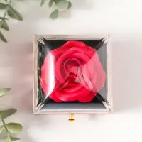 Шкатулка пластик "Роза в футляре" красная 6,8х6,8х7,5 см