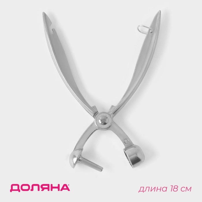 Удалитель косточек Доляна «Любитель», 18 см Удалитель косточек Доляна «Любитель», 18 см
