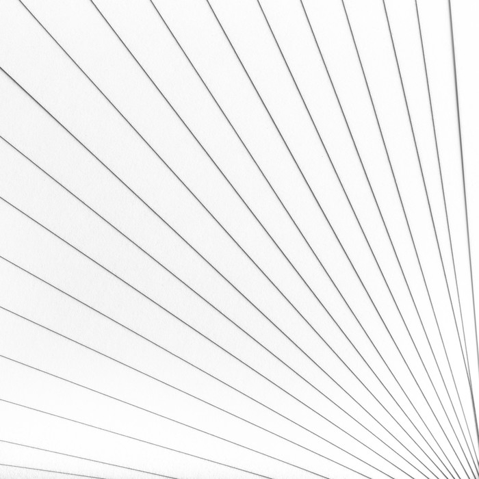 Папка для черчения А4, 24 листа, Гамма  Папка для черчения А4, 24 листа, Гамма "Студия" (бумага Гознак СПб), без рамки, 200г/м2