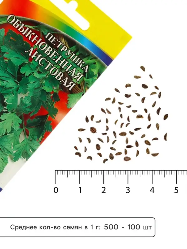 Семена Петрушка &laquo;Обыкновенная Листовая&raquo;, среднеспелая, 1.5 г, &laquo;Артикул&raquo;