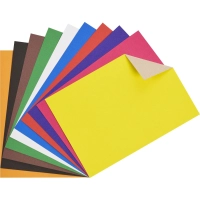 Картон цветной Выбор Есть 10л10цв А4 немелован папка