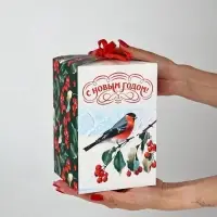 Набор подарочных коробок &laquo;Время чудес&raquo; , 3 шт. , 12&times;12&times;18 см