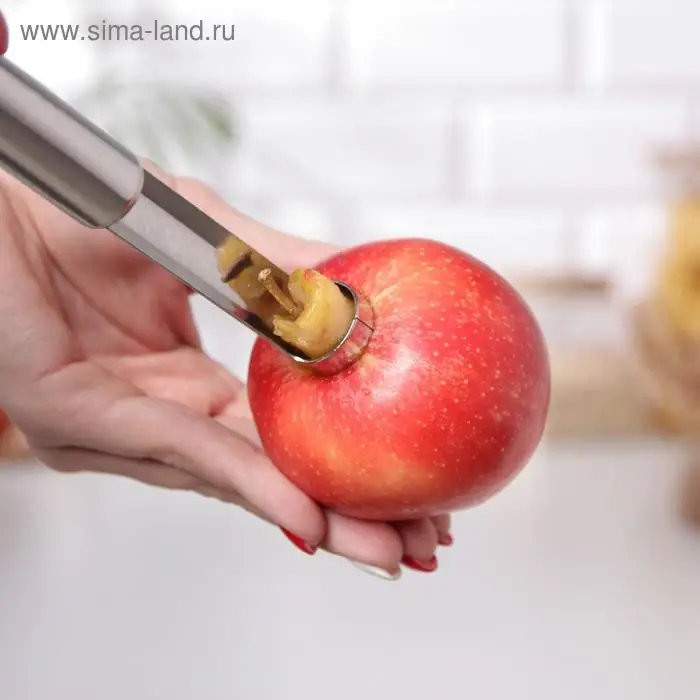 Нож для сердцевины Доляна &laquo;Металлик&raquo;, серебристый
