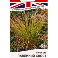 Семена цветов Ковыль Павлиний хвост Мн Британская коллекция цветов, Ц/П,5 шт. Семена цветов Ковыль Павлиний хвост Мн Британская коллекция цветов, Ц/П,5 шт.