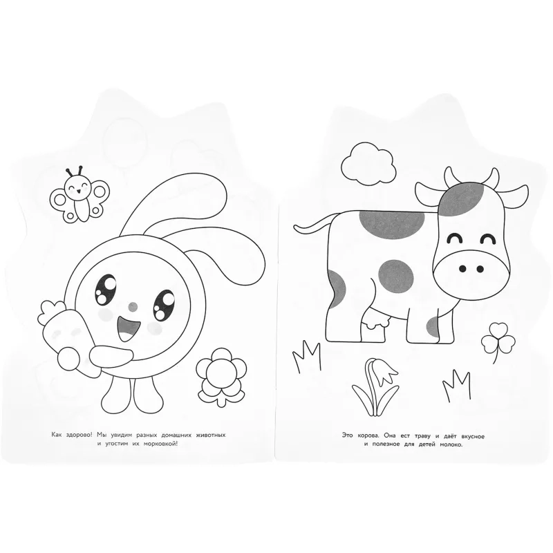 Раскраска На ферме. Малышарики. День рождения.16 стр. , 978-5-506-09677-1