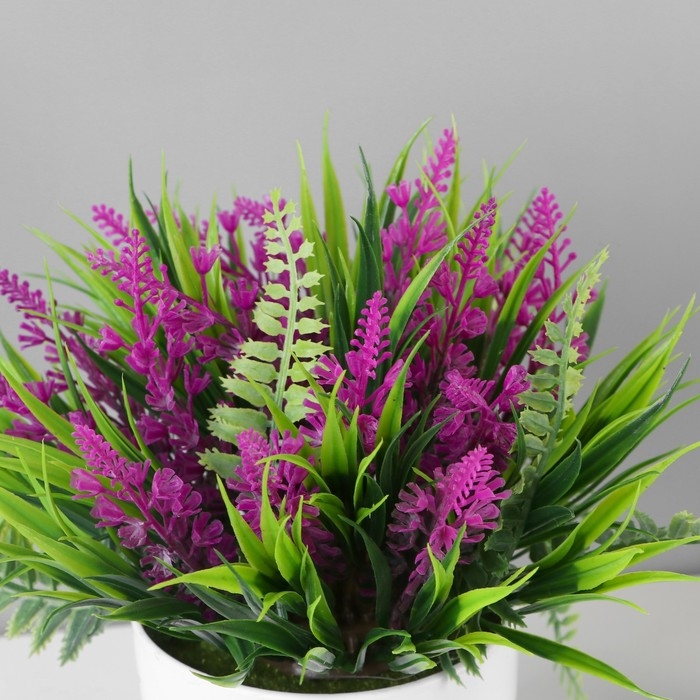 Бонсай в горшке Бонсай в горшке "Лаванда галант" 11х14 см, микс