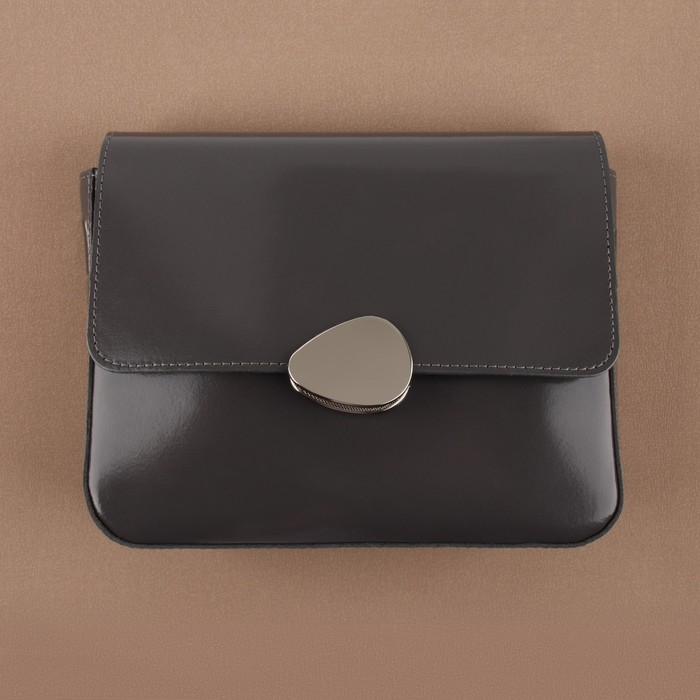 Застёжка для сумки, 4,8 × 3,5 см, цвет жемчужный серебряный Застёжка для сумки, 4,8 × 3,5 см, цвет жемчужный серебряный