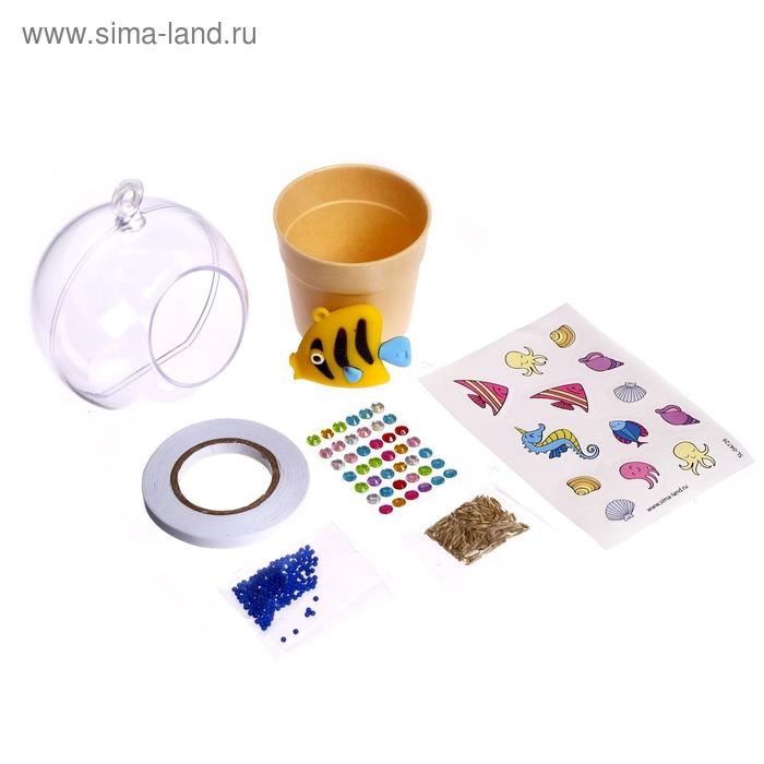 Набор для опытов «Живой аквариум-флорариум», с морскими обитателями Набор для опытов «Живой аквариум-флорариум», с морскими обитателями
