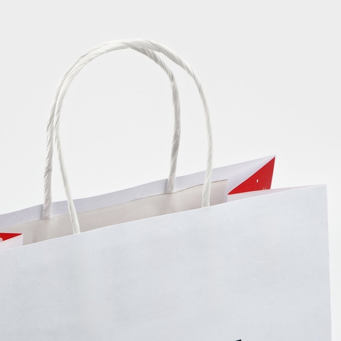 Пакет подарочный новогодний «Ты тоже не подарок», 22 х 22 х 11 см Пакет подарочный новогодний «Ты тоже не подарок», 22 х 22 х 11 см