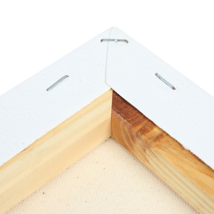 Холст на подрамнике, 15 х 15 см, 100%, хлопок, 380 г/м2, среднее зерно, ЗХК Холст на подрамнике, 15 х 15 см, 100%, хлопок, 380 г/м2, среднее зерно, ЗХК "Сонет", E5305-B-15x15