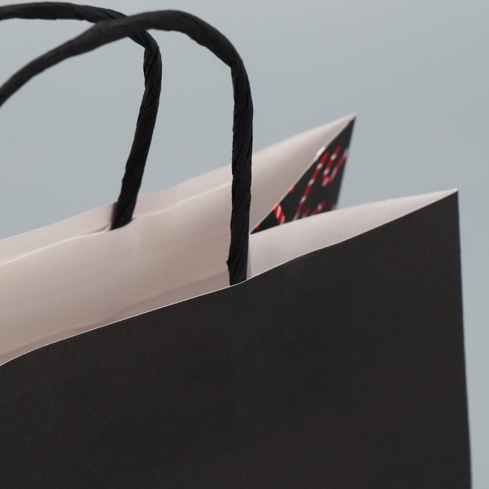 Пакет подарочный новогодний крафтовый «Не от сердца», 22 х 22 х 11 см, Новый год Пакет подарочный новогодний крафтовый «Не от сердца», 22 х 22 х 11 см, Новый год