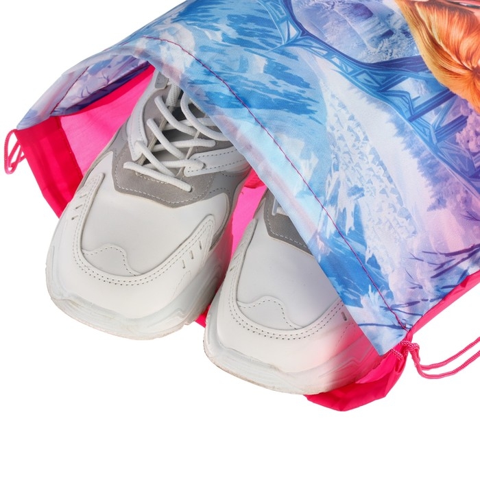 Мешок для обуви 420*330 мм, Холодное сердце  Мешок для обуви 420*330 мм, Холодное сердце "Анна и Эльза"