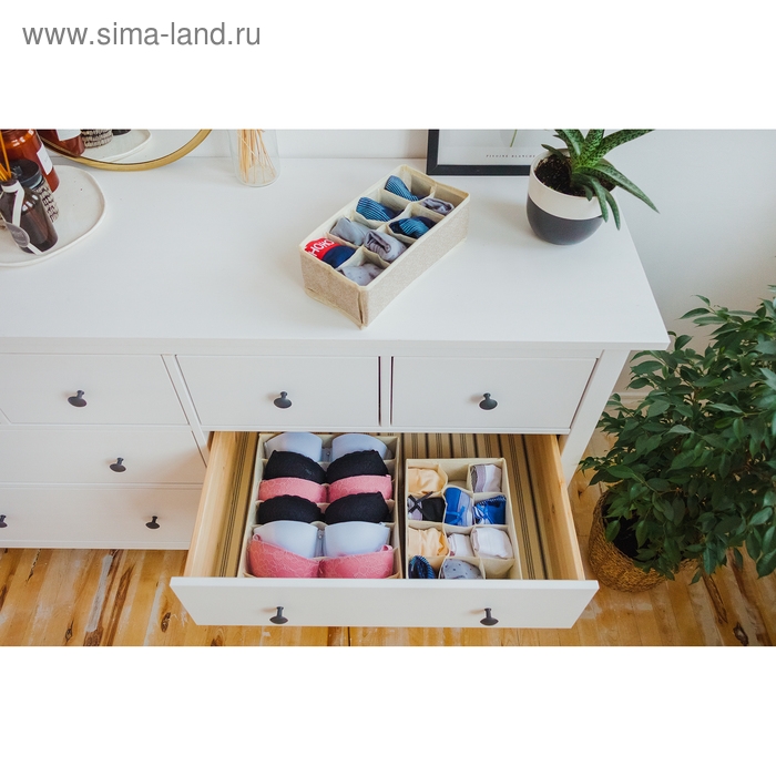 Органайзер для хранения белья Доляна «Европа», 8 ячеек, 28×14×10 см, цвет бежевый Органайзер для хранения белья Доляна «Европа», 8 ячеек, 28×14×10 см, цвет бежевый