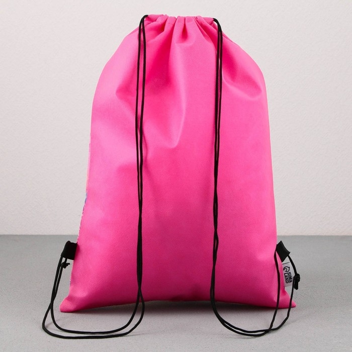 Мешок для обуви «1 сентября: Little princess» нетканное полотно, размер 30 х 40 см Мешок для обуви «1 сентября: Little princess» нетканное полотно, размер 30 х 40 см