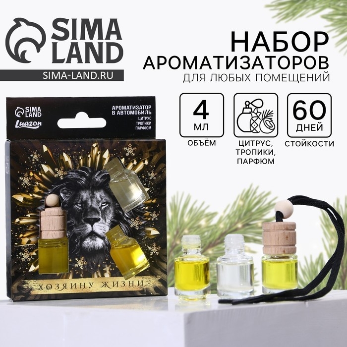 Ароматизаторы в машину новогодние «Хозяину жизни» на Новый год, цитрус, тропики, парфюм (набор 3 шт) Ароматизаторы в машину новогодние «Хозяину жизни» на Новый год, цитрус, тропики, парфюм (набор 3 шт)
