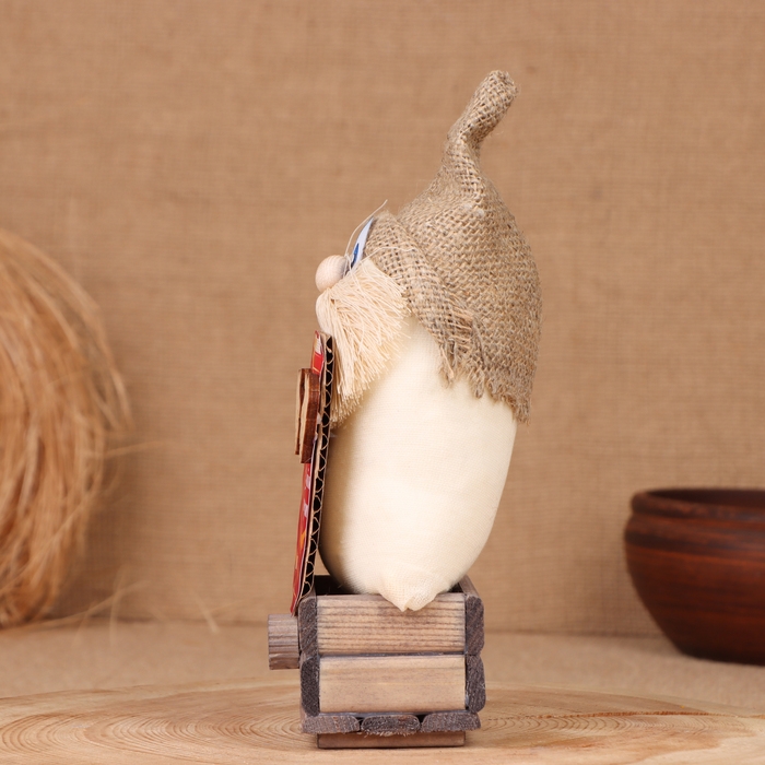 Домовой Домовой "Любимчик с книгой", на сундуке, 21х11х7 см