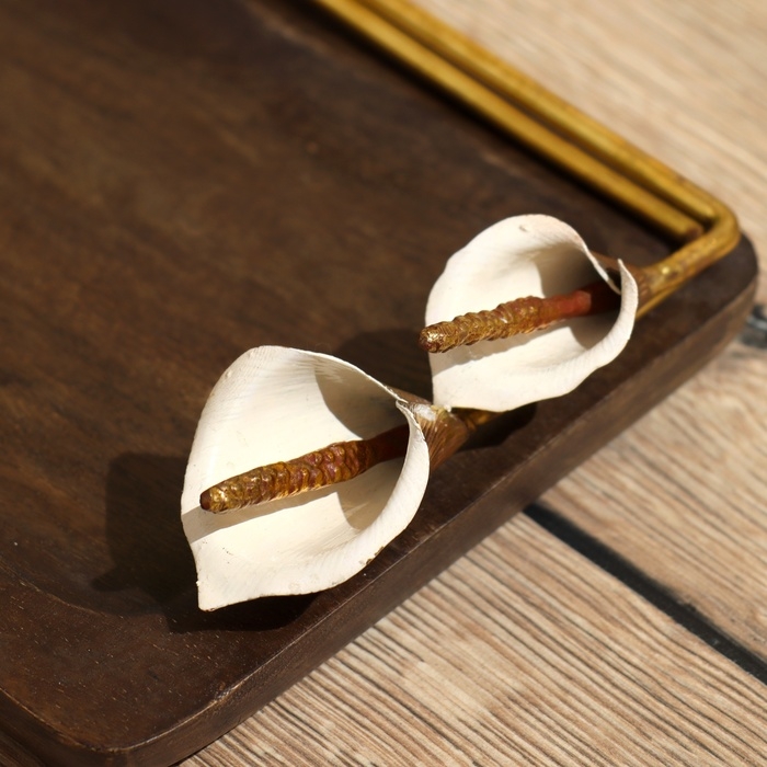 Блюдо Блюдо "Альстро" 36х15х5,5 см, дерево