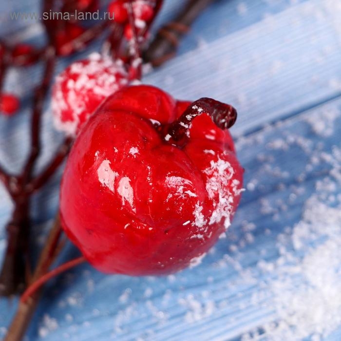 Декор Декор "Зимнее очарование" веточка с яблочками, 23 см