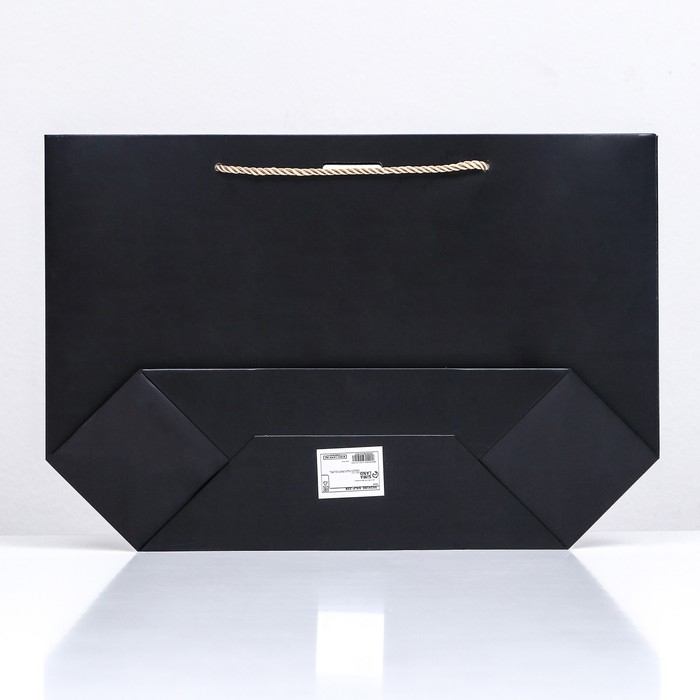 Пакет подарочный с лентой 26 х 25 х 11 см Пакет подарочный с лентой 26 х 25 х 11 см "Черный"