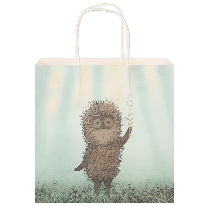 Пакет подарочный, 22х22х11 см, крафт, упаковка, Ёжик в тумане Пакет подарочный, 22х22х11 см, крафт, упаковка, Ёжик в тумане