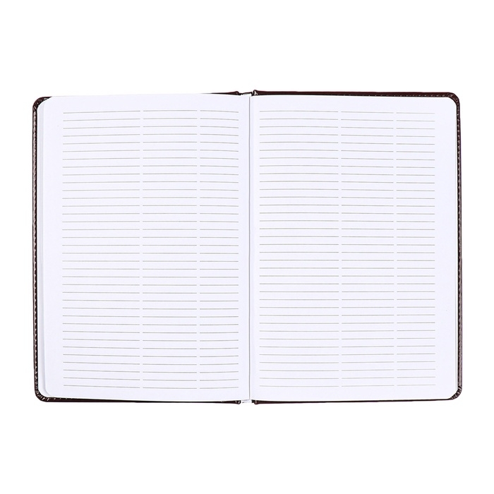 Телефонная книга А5, 64 листа deVENTE. Bravo, твердая обложка из искусственной кожи с поролоном, кремовый блок 70 г/м2, коричневый Телефонная книга А5, 64 листа deVENTE. Bravo, твердая обложка из искусственной кожи с поролоном, кремовый блок 70 г/м2, коричневый