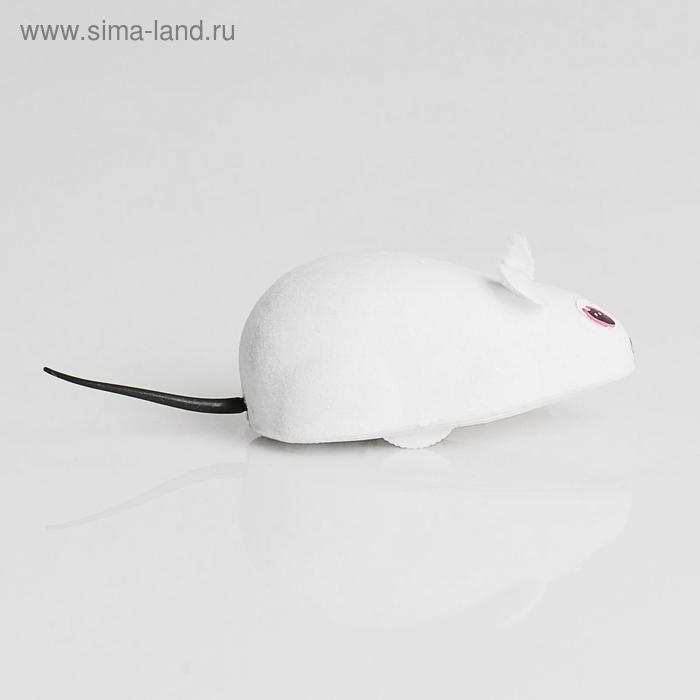 Мышь заводная, 7 см, белая Мышь заводная, 7 см, белая